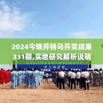 2024今晚开特马开奖结果331期,实地研究解析说明_STP4.61