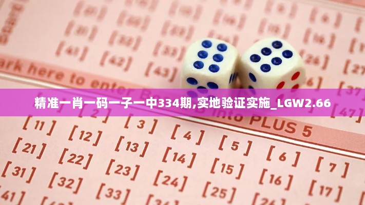 精准一肖一码一子一中334期,实地验证实施_LGW2.66