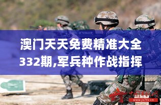 澳门天天免费精准大全332期,军兵种作战指挥_RKN6.36