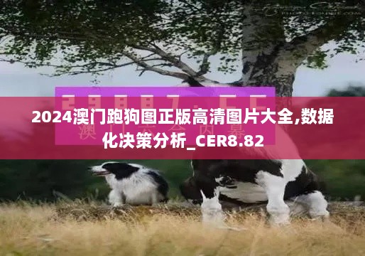 2024澳门跑狗图正版高清图片大全,数据化决策分析_CER8.82