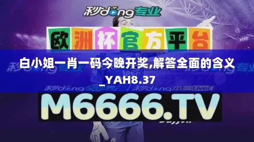 白小姐一肖一码今晚开奖,解答全面的含义_YAH8.37