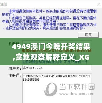 4949澳门今晚开奖结果,实地观察解释定义_XGG8.60