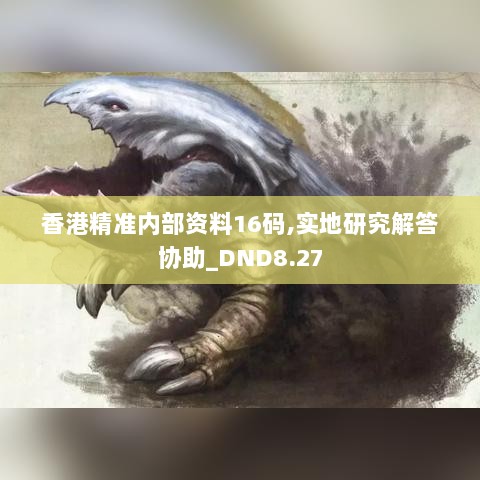 香港精准内部资料16码,实地研究解答协助_DND8.27