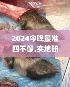 2024今晚最准四不像,实地研究解答协助_ZKF8.52