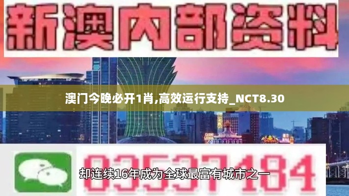 澳门今晚必开1肖,高效运行支持_NCT8.30