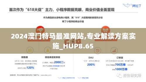 2024澳门特马最准网站,专业解读方案实施_HUP8.65