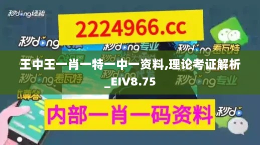 王中王一肖一特一中一资料,理论考证解析_EIV8.75