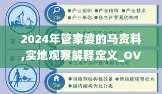 2024年管家婆的马资料,实地观察解释定义_OVC8.79