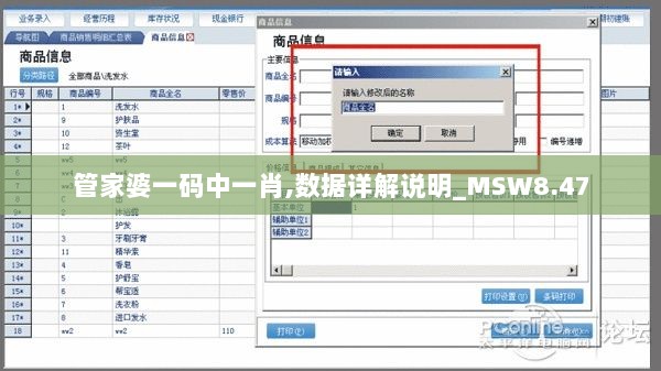 管家婆一码中一肖,数据详解说明_MSW8.47