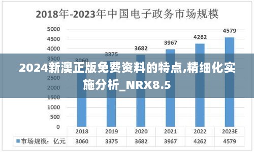 2024新澳正版免费资料的特点,精细化实施分析_NRX8.5