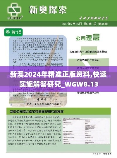 新澳2024年精准正版资料,快速实施解答研究_WGW8.13