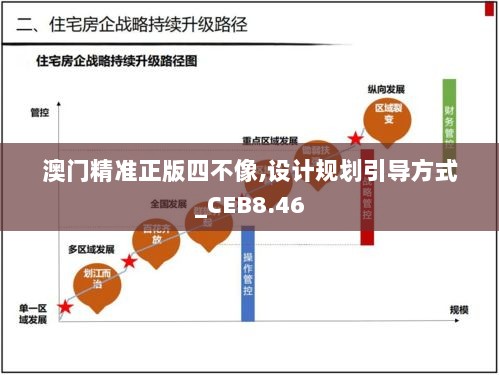 澳门精准正版四不像,设计规划引导方式_CEB8.46