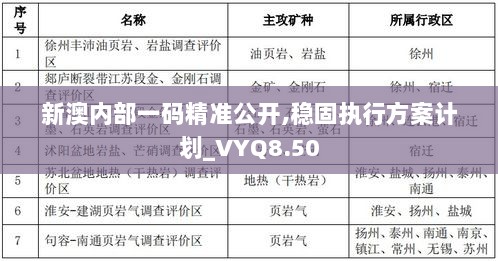 新澳内部一码精准公开,稳固执行方案计划_VYQ8.50