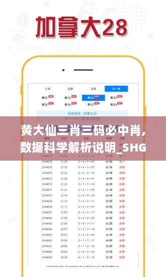 黄大仙三肖三码必中肖,数据科学解析说明_SHG8.21