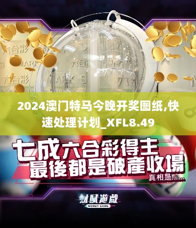 2024澳门特马今晚开奖图纸,快速处理计划_XFL8.49