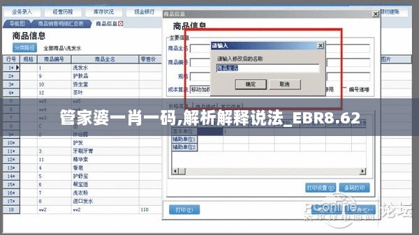 管家婆一肖一码,解析解释说法_EBR8.62