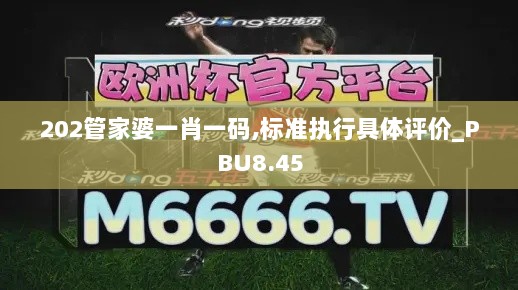 202管家婆一肖一码,标准执行具体评价_PBU8.45