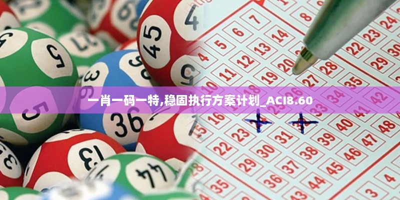 一肖一码一特,稳固执行方案计划_ACI8.60