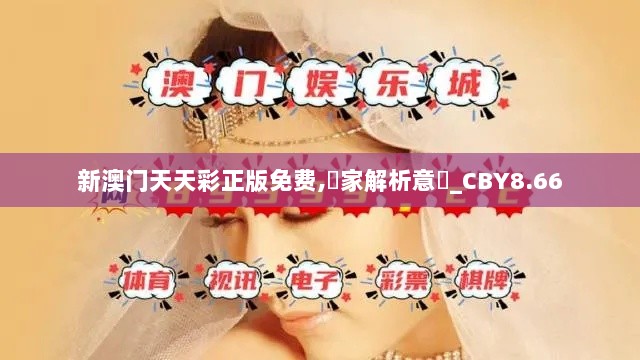 新澳门天天彩正版免费,專家解析意見_CBY8.66