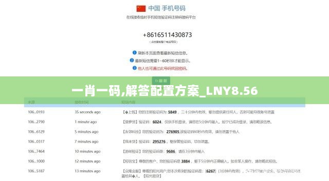 一肖一码,解答配置方案_LNY8.56