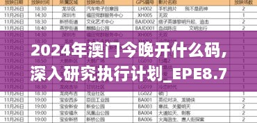 2024年澳门今晚开什么码,深入研究执行计划_EPE8.79