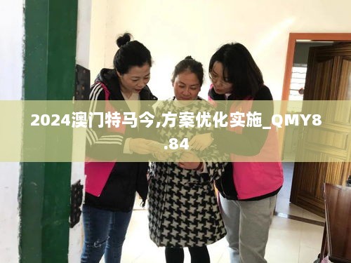 2024澳门特马今,方案优化实施_QMY8.84