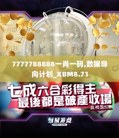 7777788888一肖一码,数据导向计划_XBM8.71