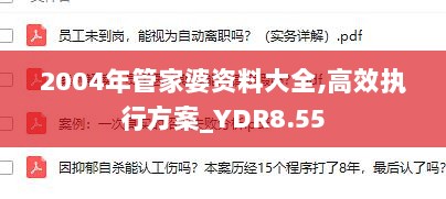 2004年管家婆资料大全,高效执行方案_YDR8.55