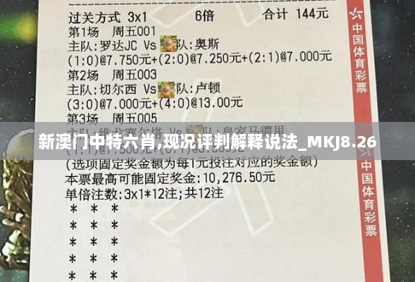 新澳门中特六肖,现况评判解释说法_MKJ8.26