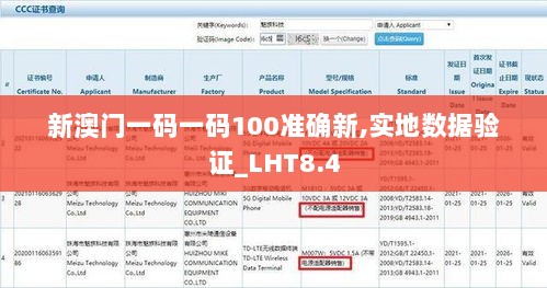 新澳门一码一码100准确新,实地数据验证_LHT8.4