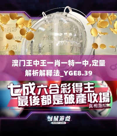 澳门王中王一肖一特一中,定量解析解释法_YGE8.39