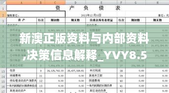 新澳正版资料与内部资料,决策信息解释_YVY8.52