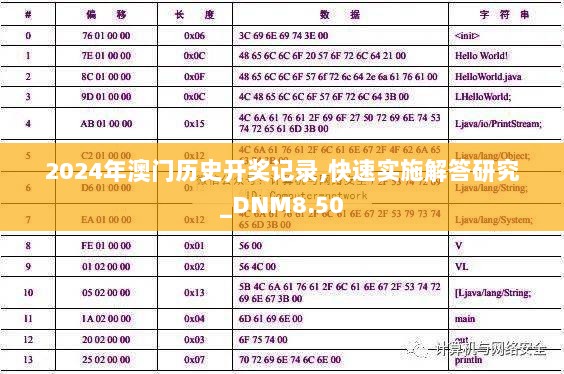 2024年澳门历史开奖记录,快速实施解答研究_DNM8.50