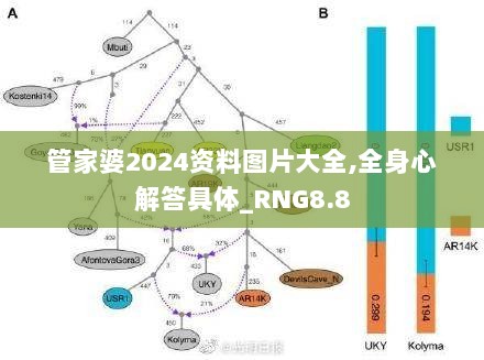 管家婆2024资料图片大全,全身心解答具体_RNG8.8