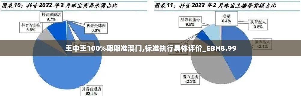 王中王100%期期准澳门,标准执行具体评价_EBH8.99