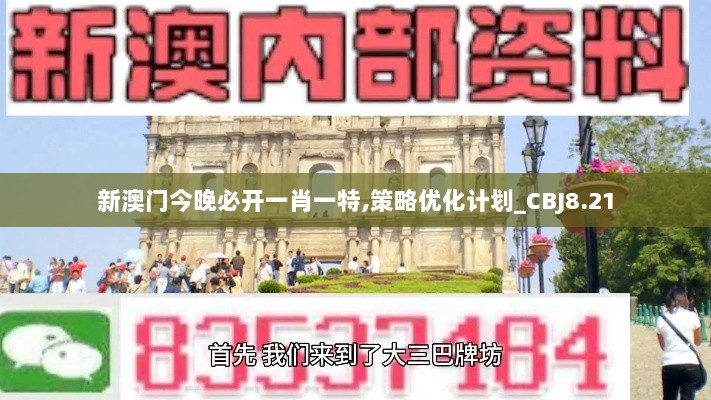 新澳门今晚必开一肖一特,策略优化计划_CBJ8.21