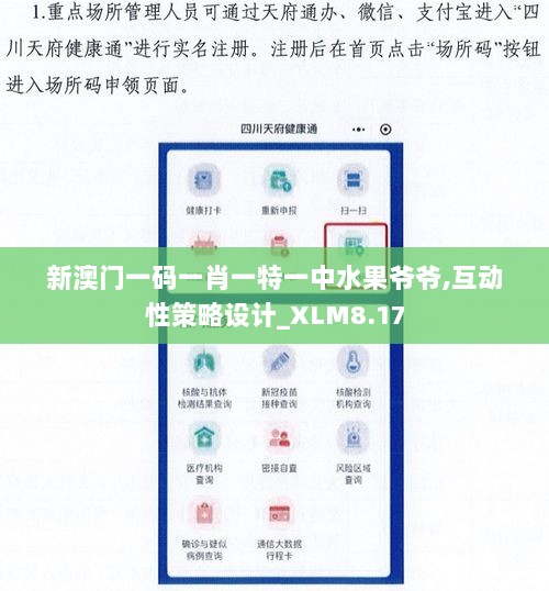 新澳门一码一肖一特一中水果爷爷,互动性策略设计_XLM8.17