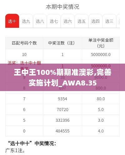 王中王100%期期准澳彩,完善实施计划_AWA8.35