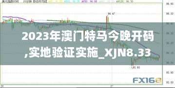 2023年澳门特马今晚开码,实地验证实施_XJN8.33