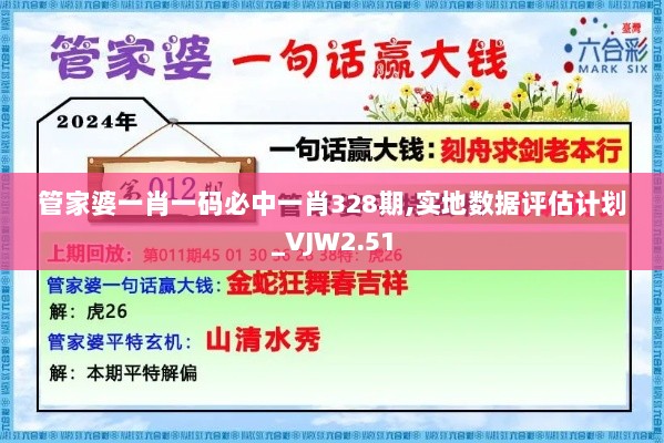 管家婆一肖一码必中一肖328期,实地数据评估计划_VJW2.51