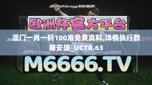 澳门一肖一码100准免费资料,详情执行数据安援_UCT8.63