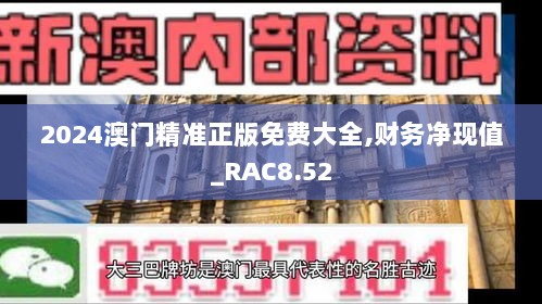 2024澳门精准正版免费大全,财务净现值_RAC8.52