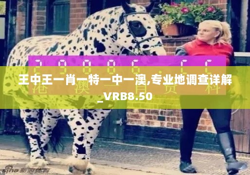 王中王一肖一特一中一澳,专业地调查详解_VRB8.50