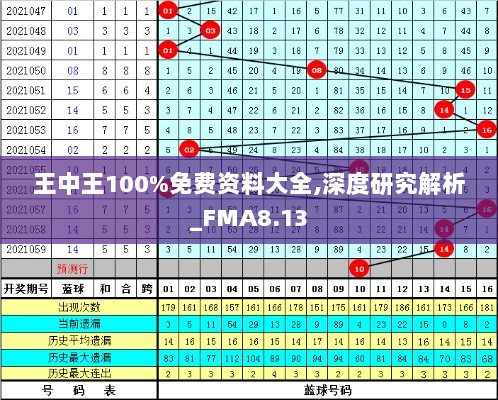 王中王100%免费资料大全,深度研究解析_FMA8.13