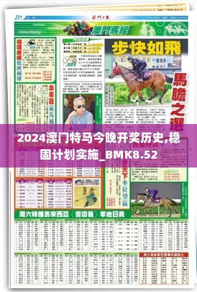 2024澳门特马今晚开奖历史,稳固计划实施_BMK8.52