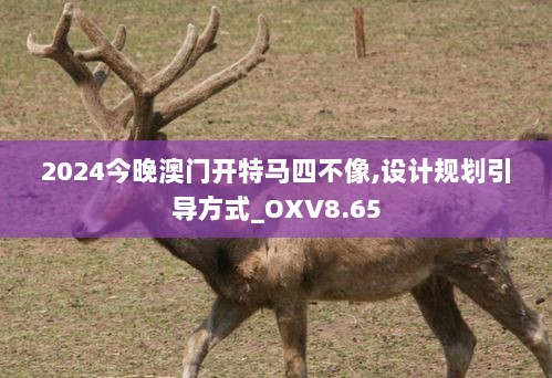 2024今晚澳门开特马四不像,设计规划引导方式_OXV8.65