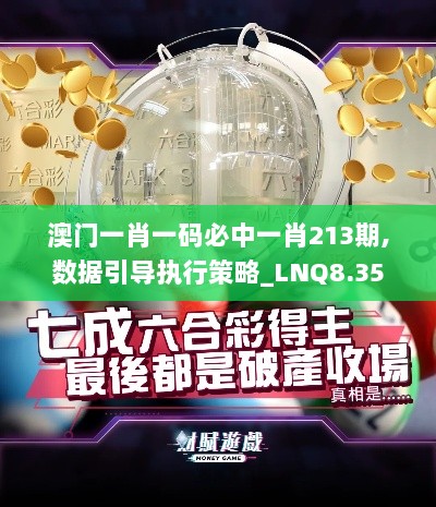 澳门一肖一码必中一肖213期,数据引导执行策略_LNQ8.35