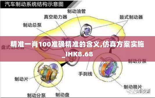 精准一肖100准确精准的含义,仿真方案实施_IHK8.68