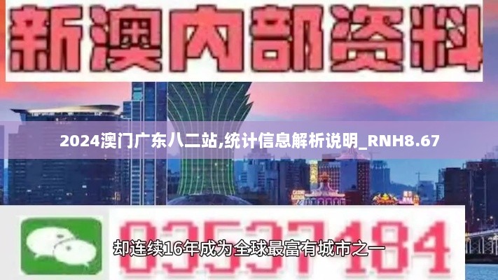 2024澳门广东八二站,统计信息解析说明_RNH8.67