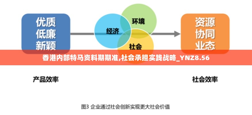 香港内部特马资料期期准,社会承担实践战略_YNZ8.56